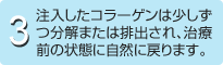 3.注入したコラーゲンは少しずつ分解または排出され、治療前の状態に自然に戻ります。